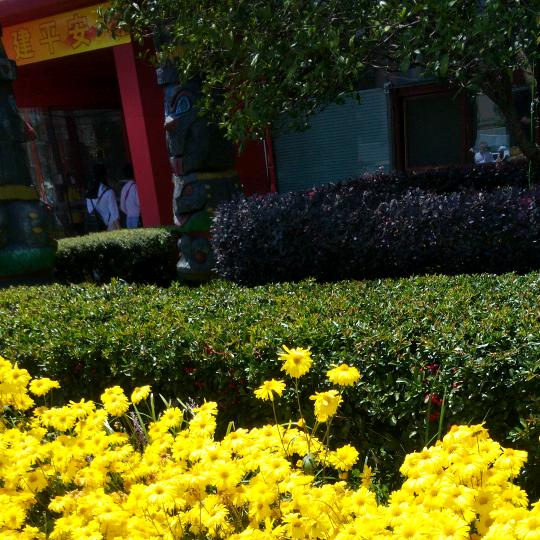 春美仔蔬菜海鲜批发