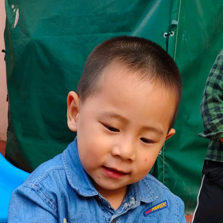 迎春