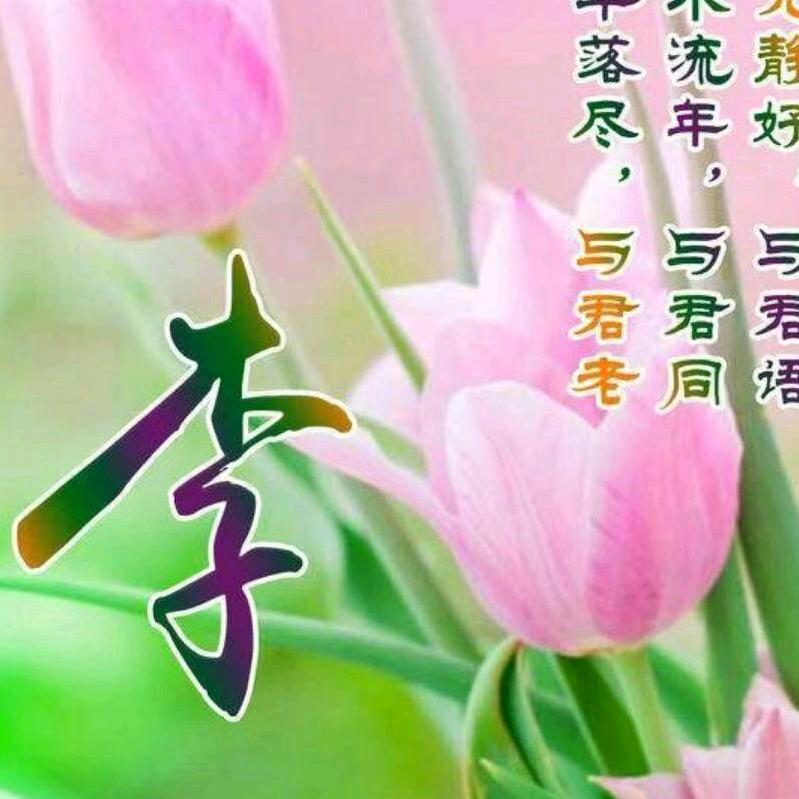 豫东内外墙装修