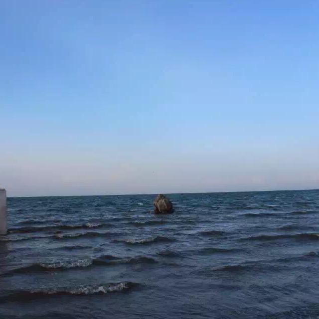 双明