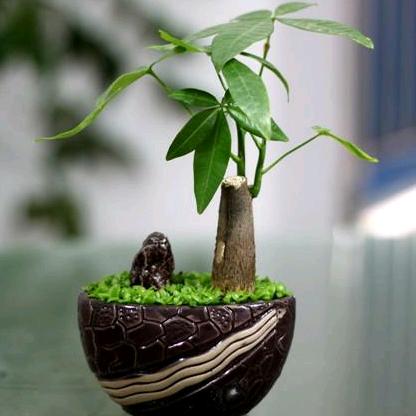行走中