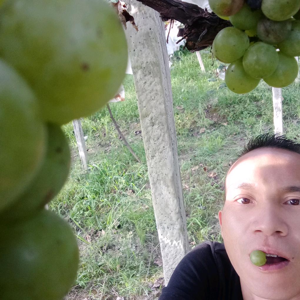 等待你出现