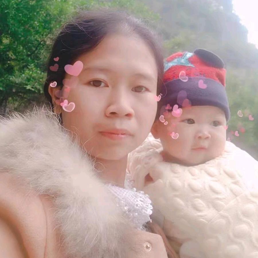 💐️绿化草皮自铲自销🌵️🌵️