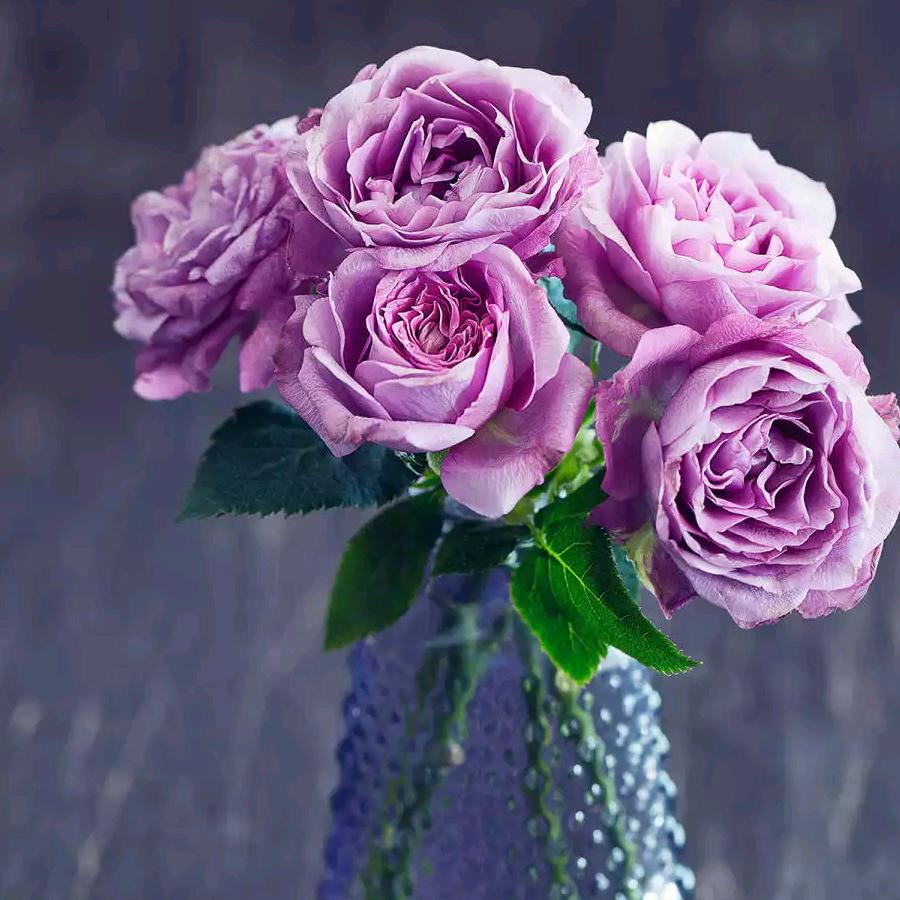 🍒越来越好🍒