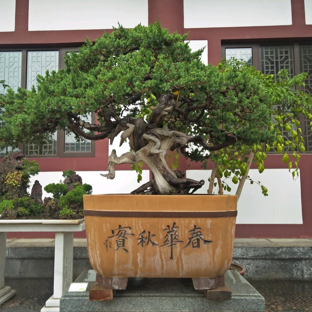 春华秋实