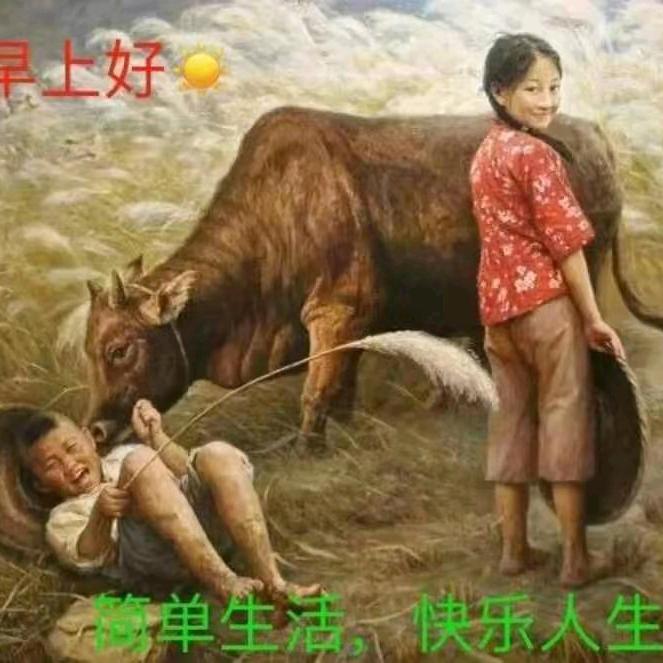 啊彬花开花落