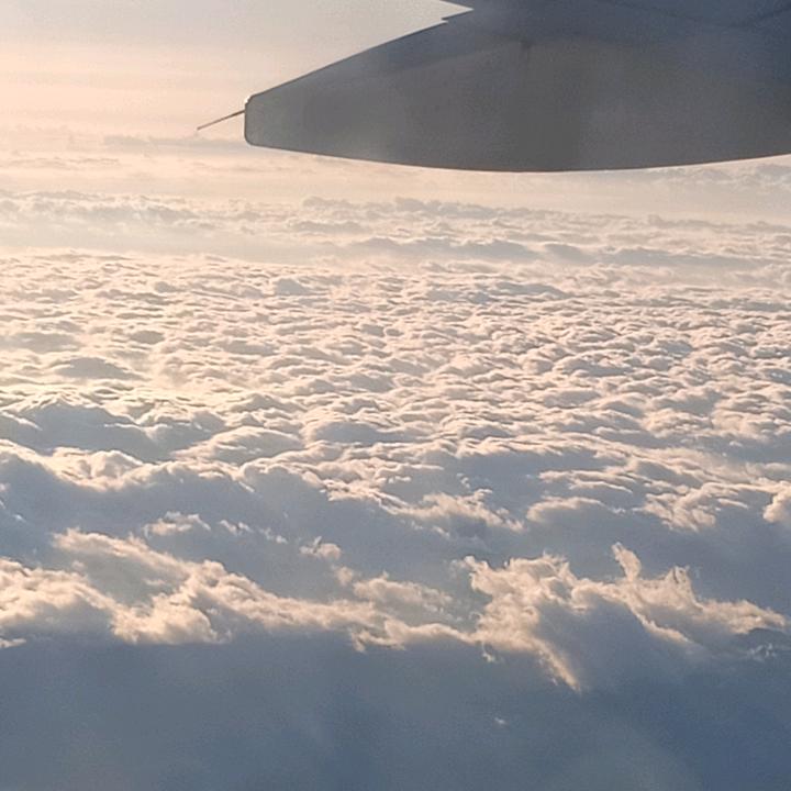 水精灵观赏鱼馆