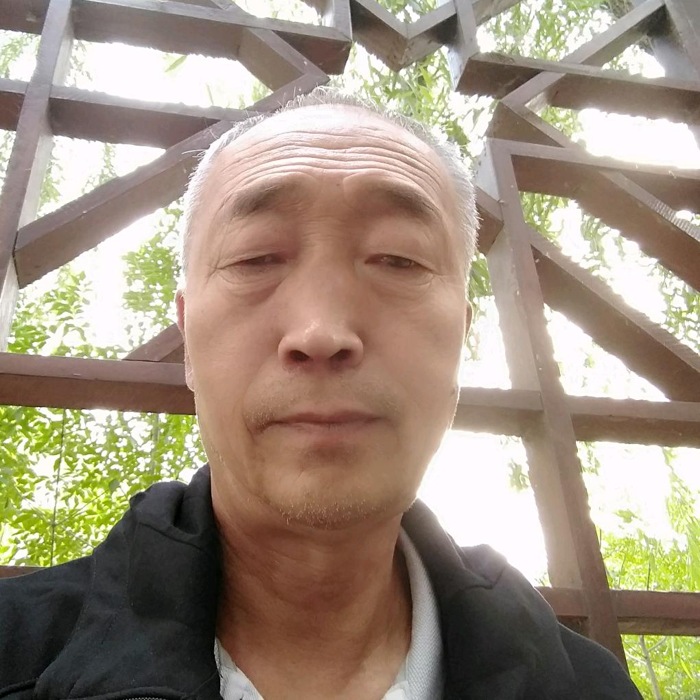 寂寞梧桐