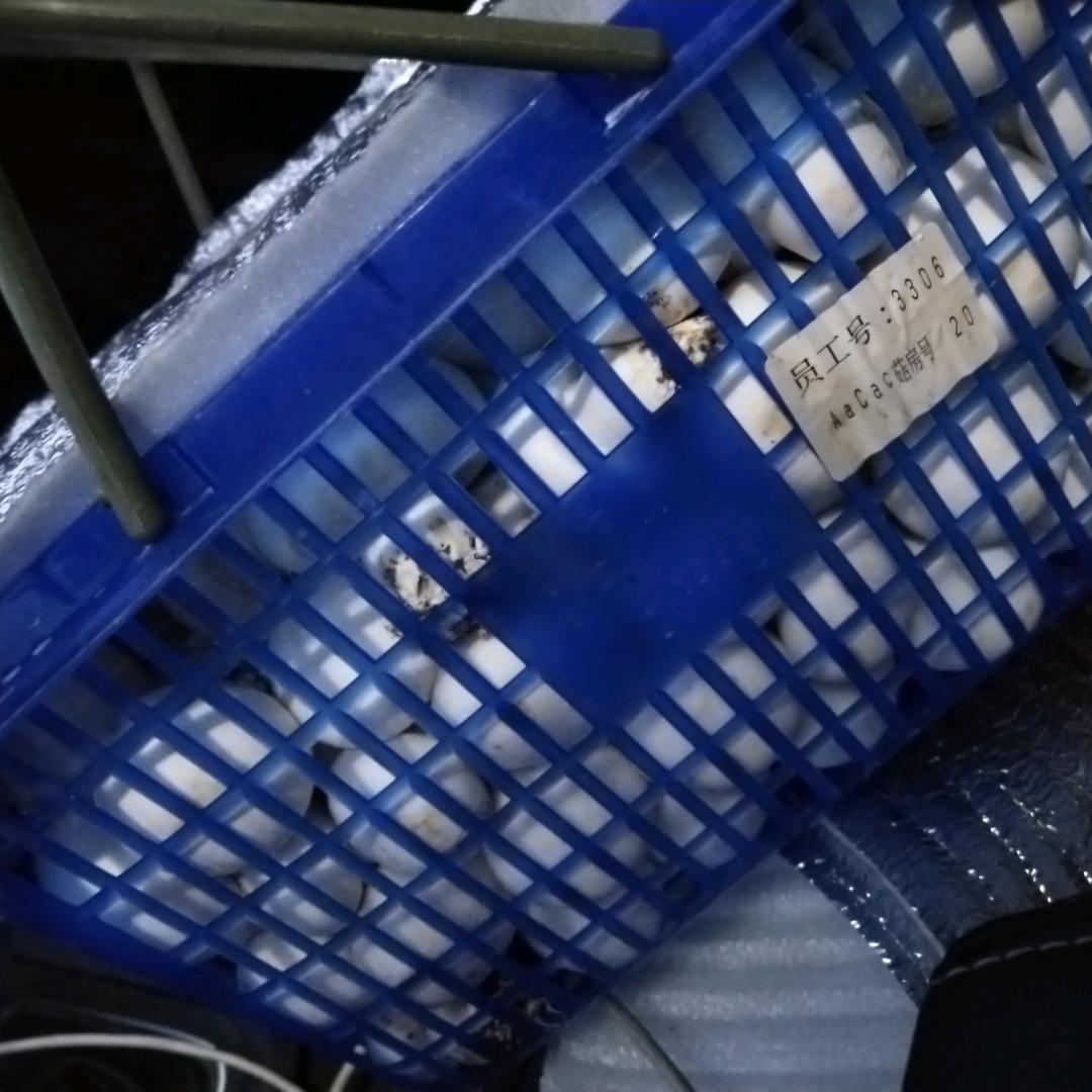 王帅