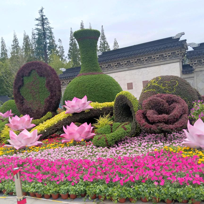 曾曾日上🌻