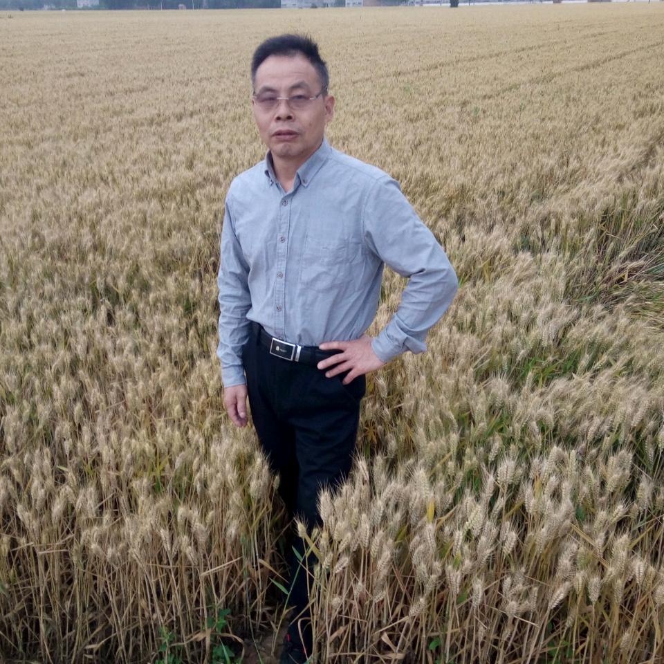 盛开的地方