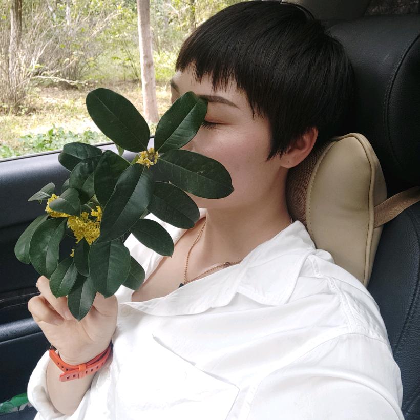 笨笨楠楠