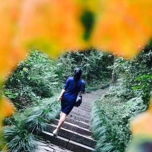 古月
