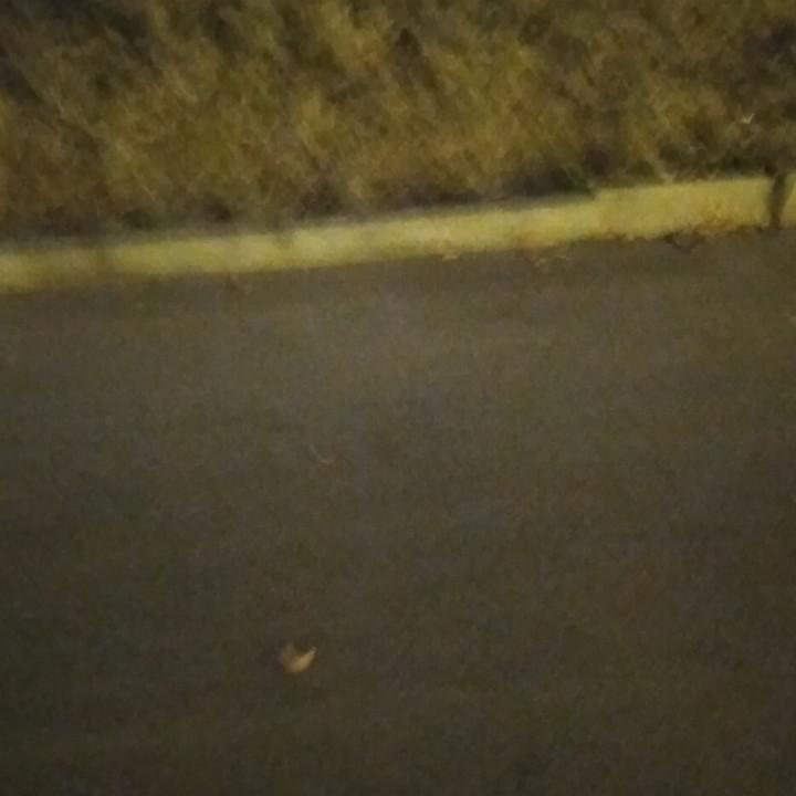 人生平安