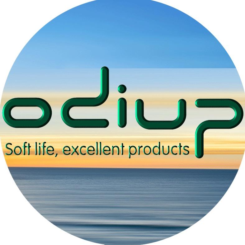 ODIUP高端整装定制