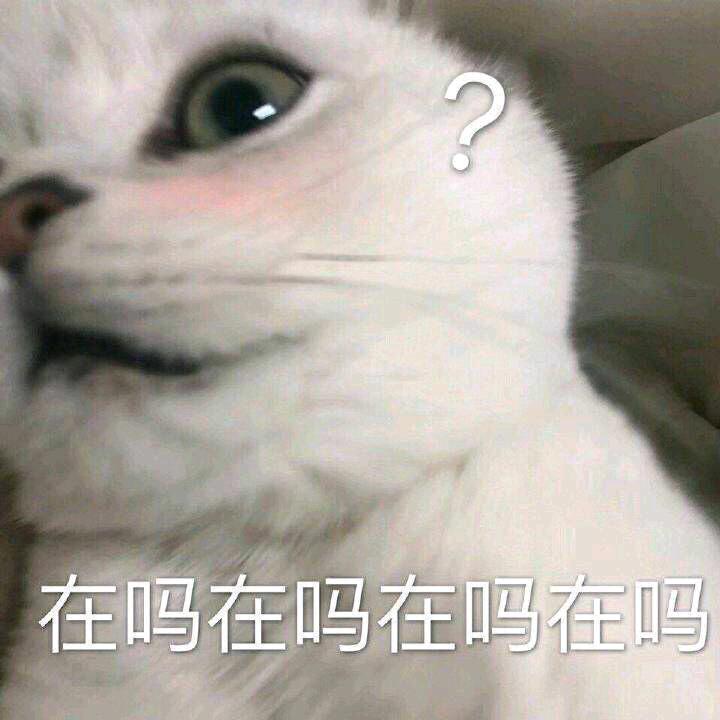 你来选择剧情走向