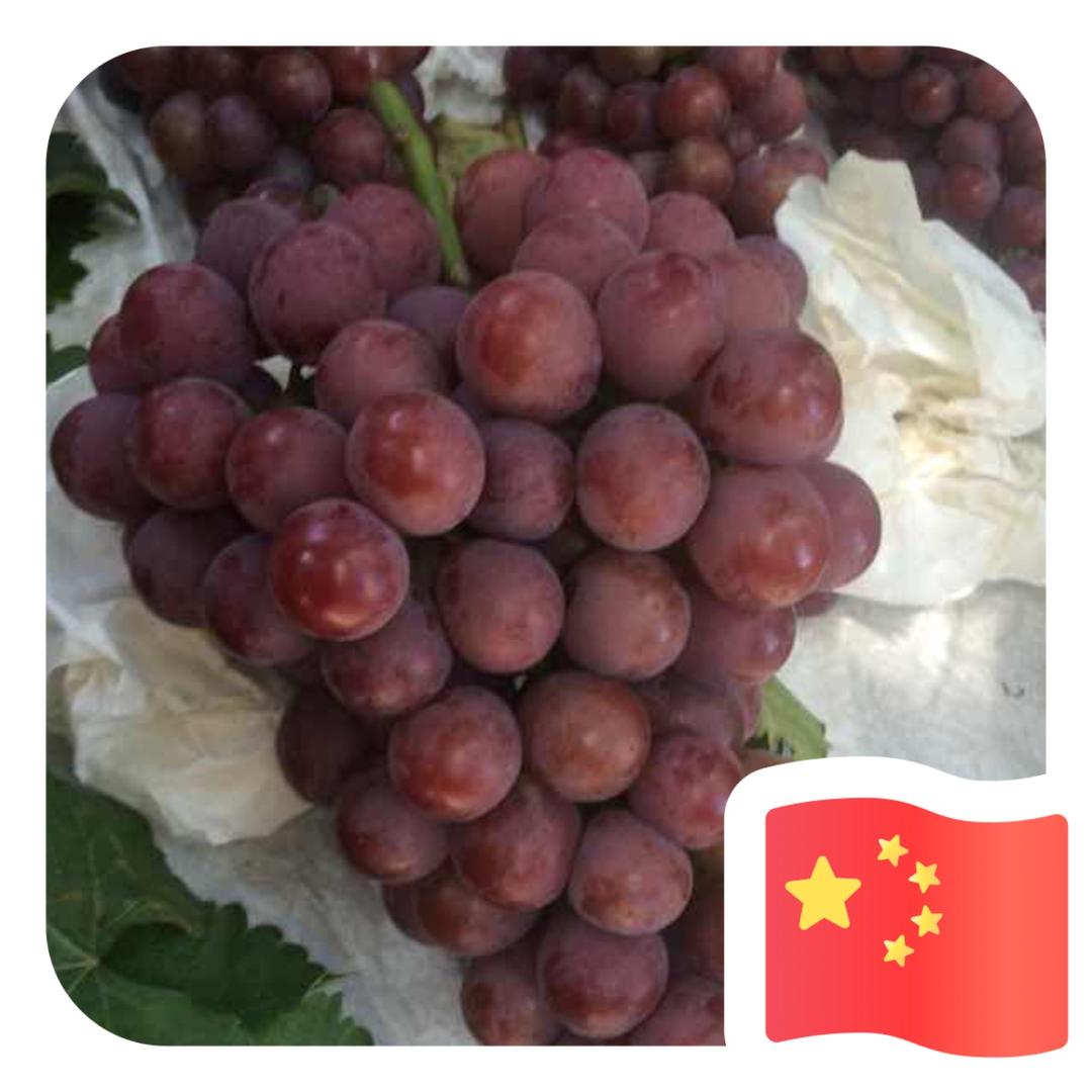 水果公子🥝🍉🍊🍎🍓🍑🍒?