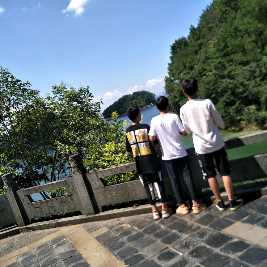 臻兄弟高端机床设备二手注塑机买卖