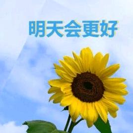 相知相惜
