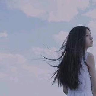 梦飞