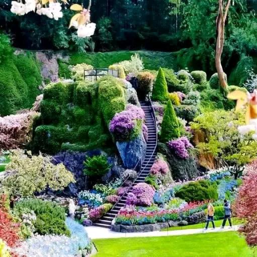 有❤你❤很🌺幸♥福🇨🇳