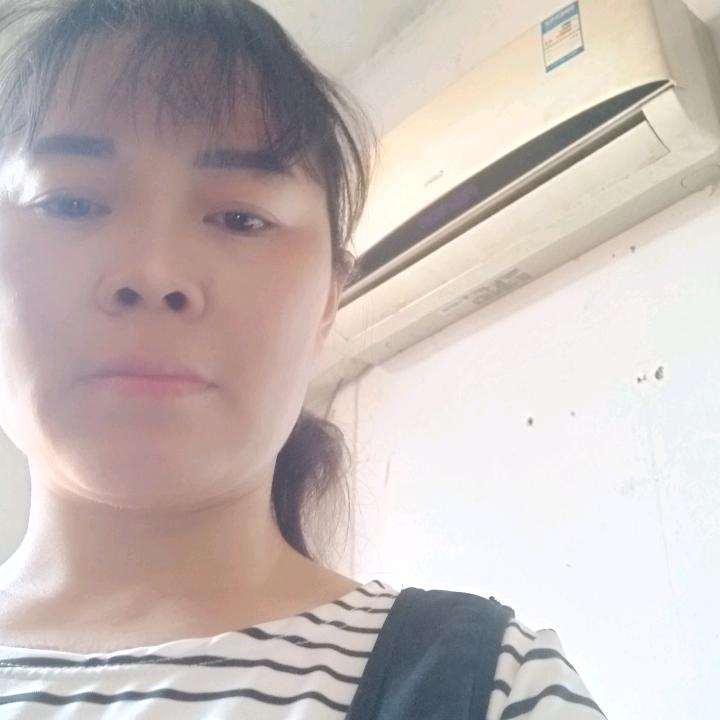 雨蝶