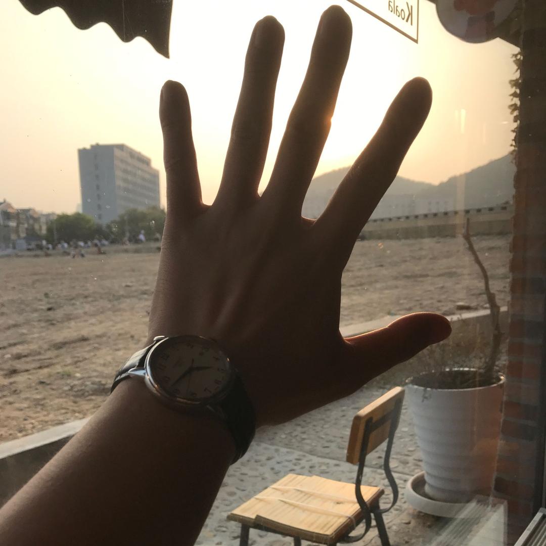 刘诗洋