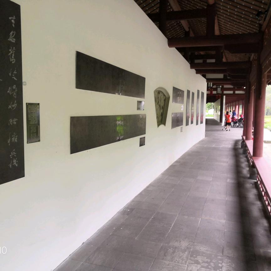 洋芋杜杜朵朵豆豆