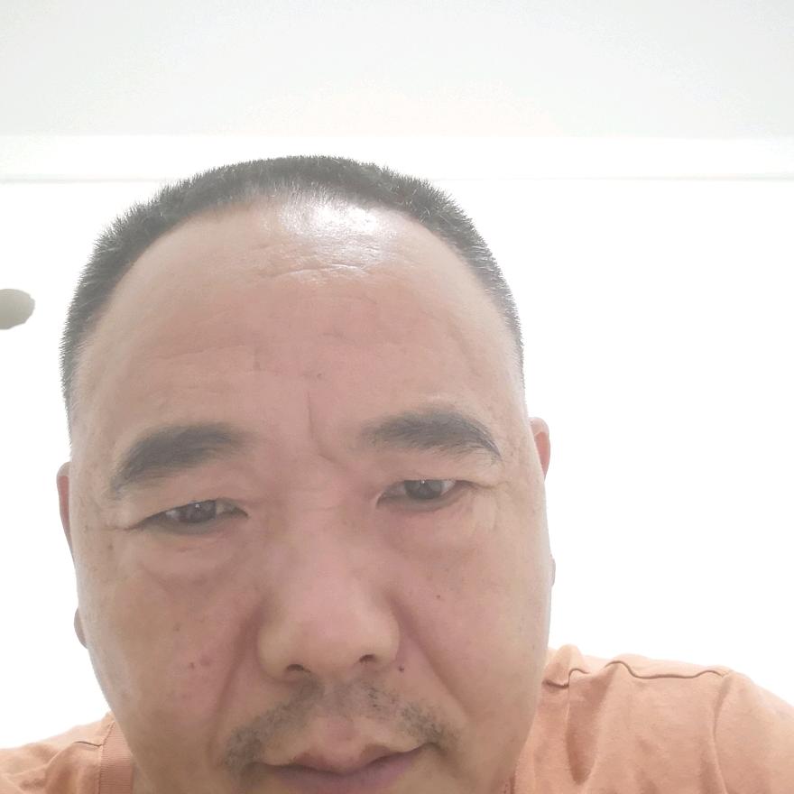 杉树棒棒