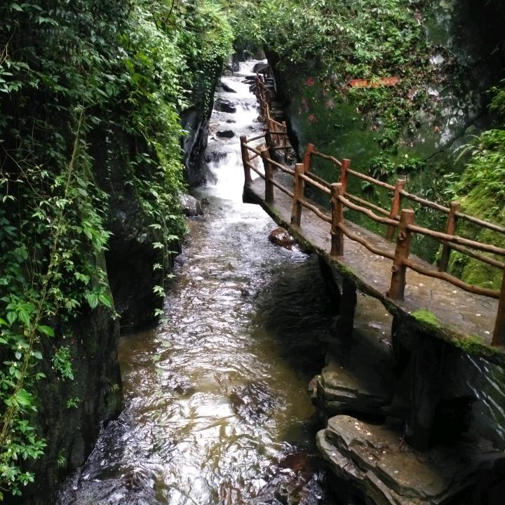蓝秀
