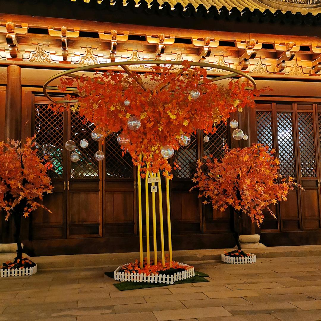 没有眼泪的鱼🐠