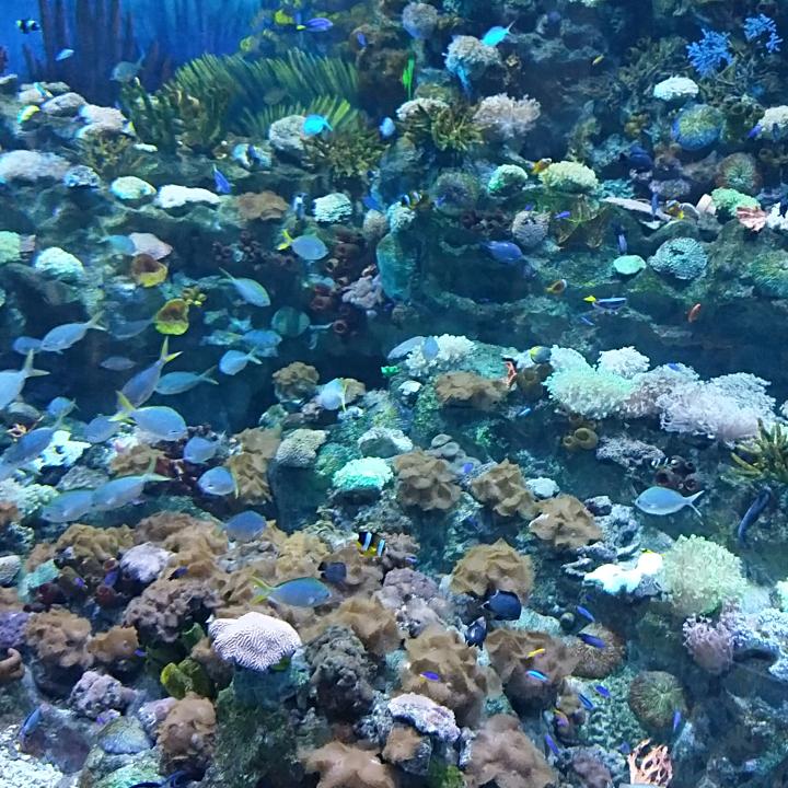 天黑有灯