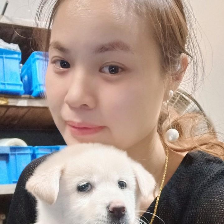 彩妹