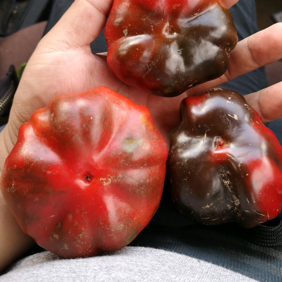 孙权