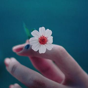 玲玲✨