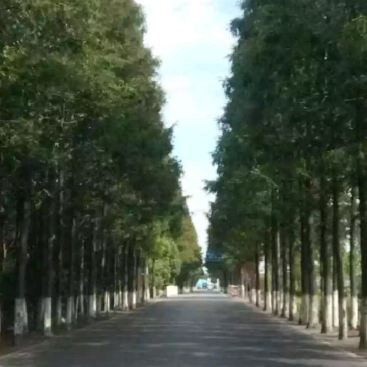 @无名