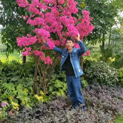 冷静 🧛‍♂️沉默