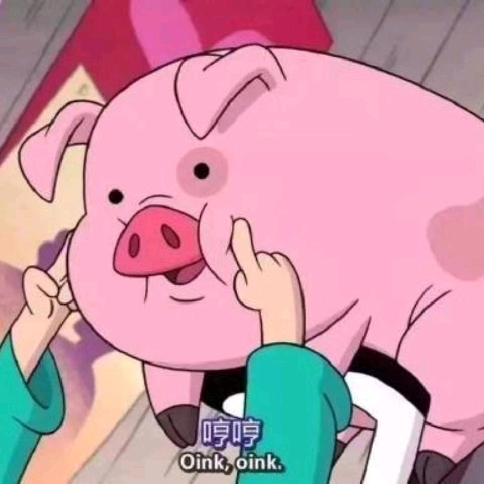 金杨