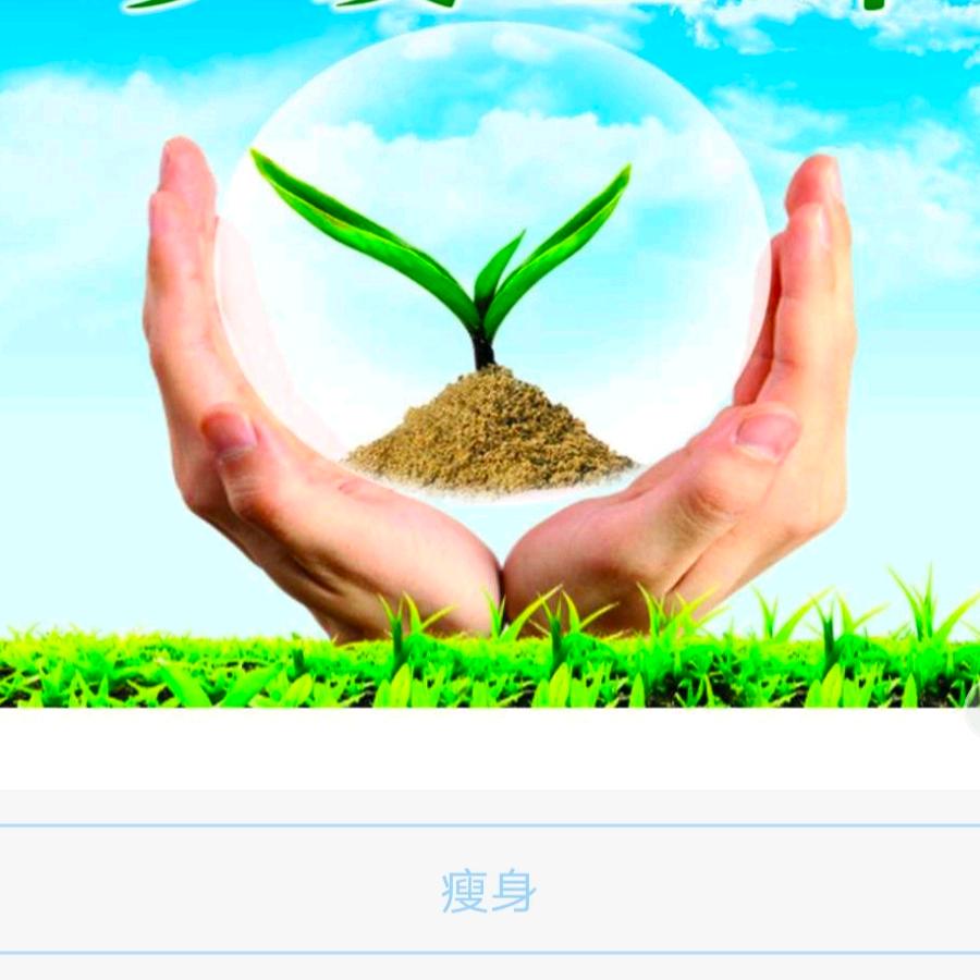 梦想飞