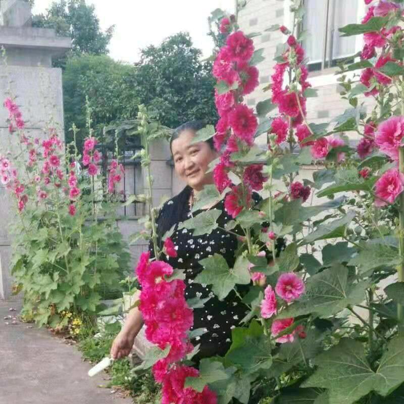 美丽的家乡