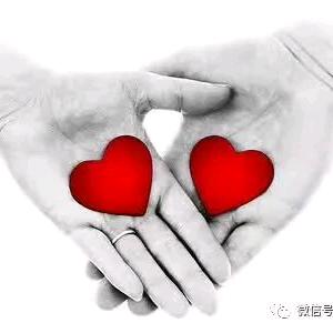 努尔