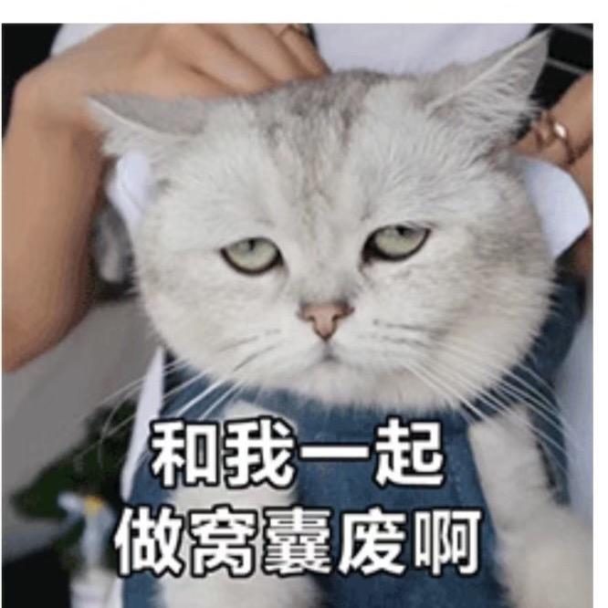 没有名字就酱