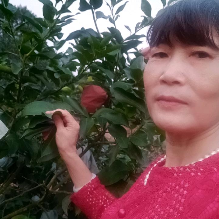 秀红