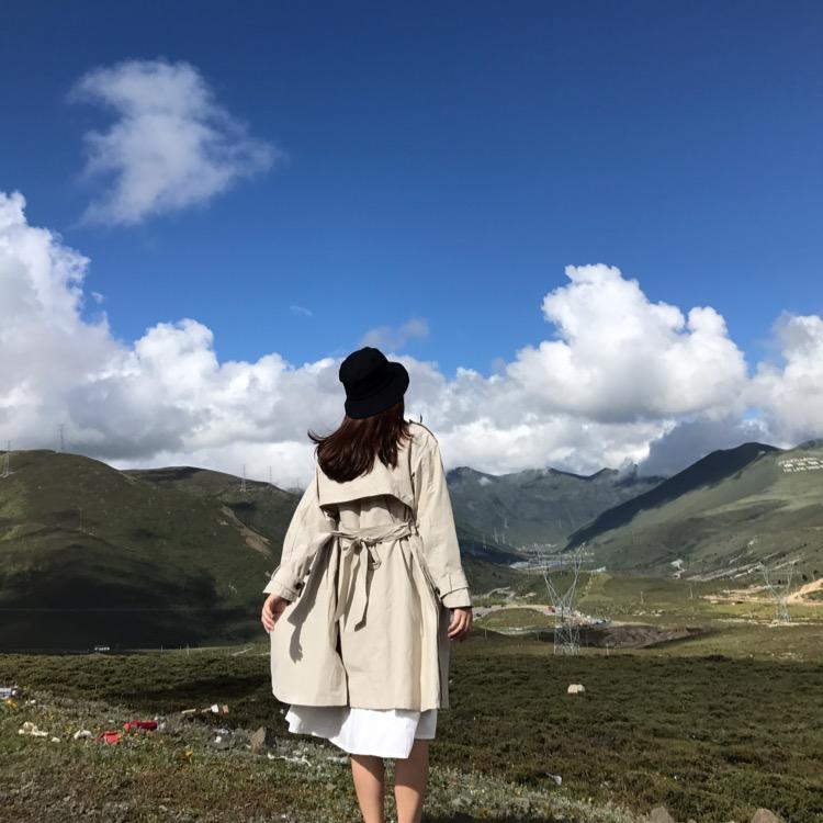 小陈的大黄