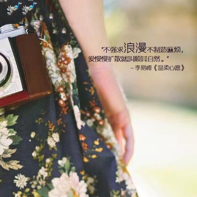 呆呆呆萌兔