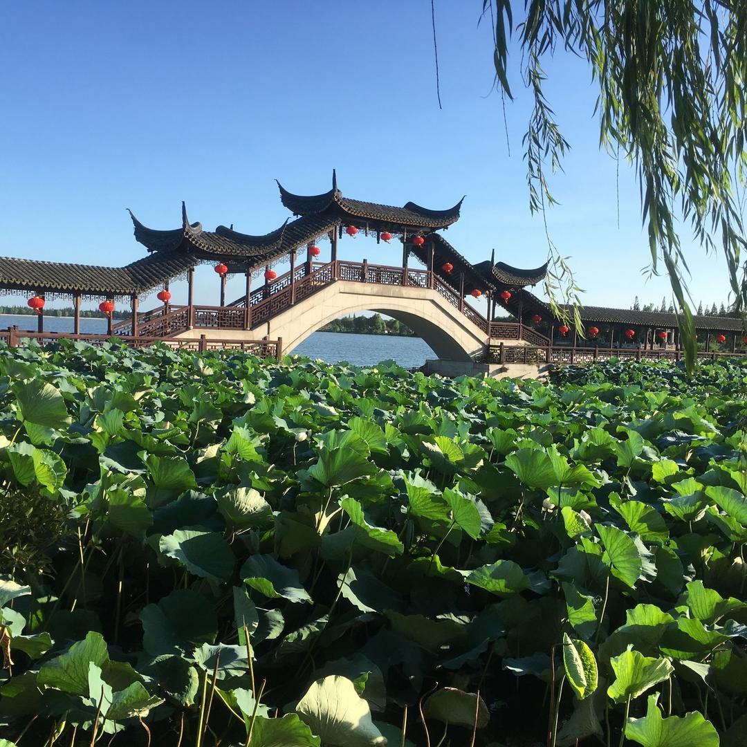 在一起🇨🇳