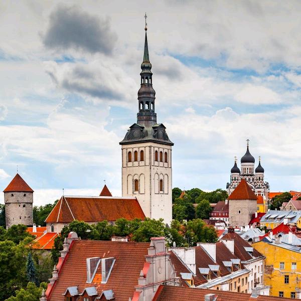 鱼龙山人彦龙老哥