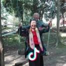 朝华昔拾