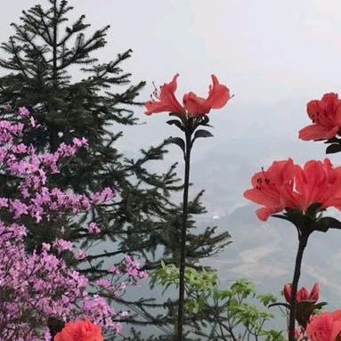 清清河湾