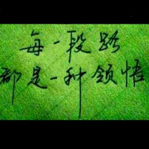 随心